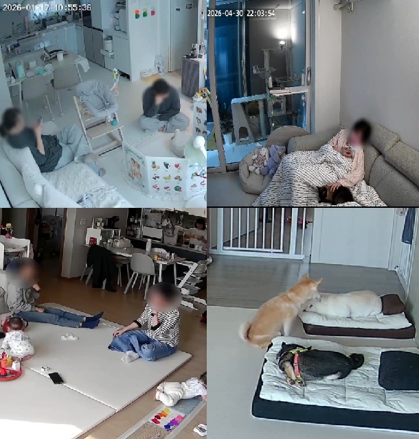 Screenshots of home camera footage shared on Instagram. (Instagram)