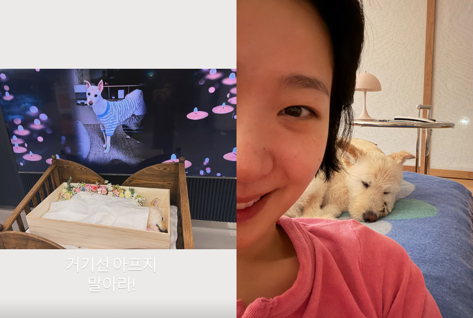 김고은 채널