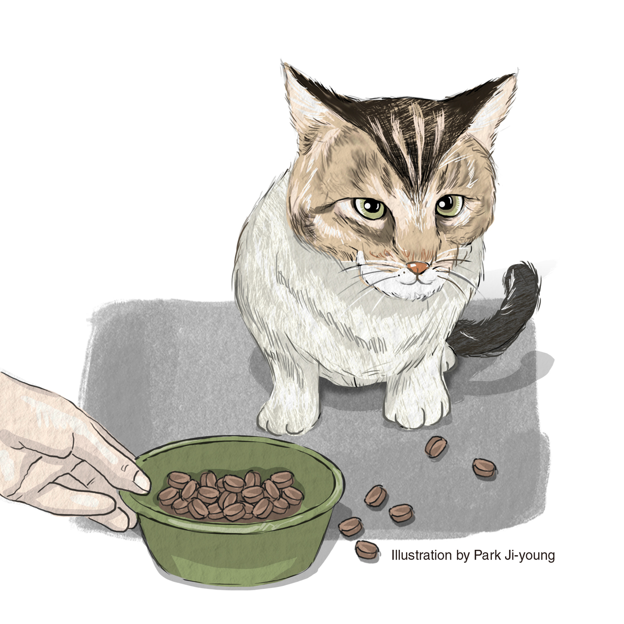 An illustration of a cat (Park Ji-young/The Korea Herald)