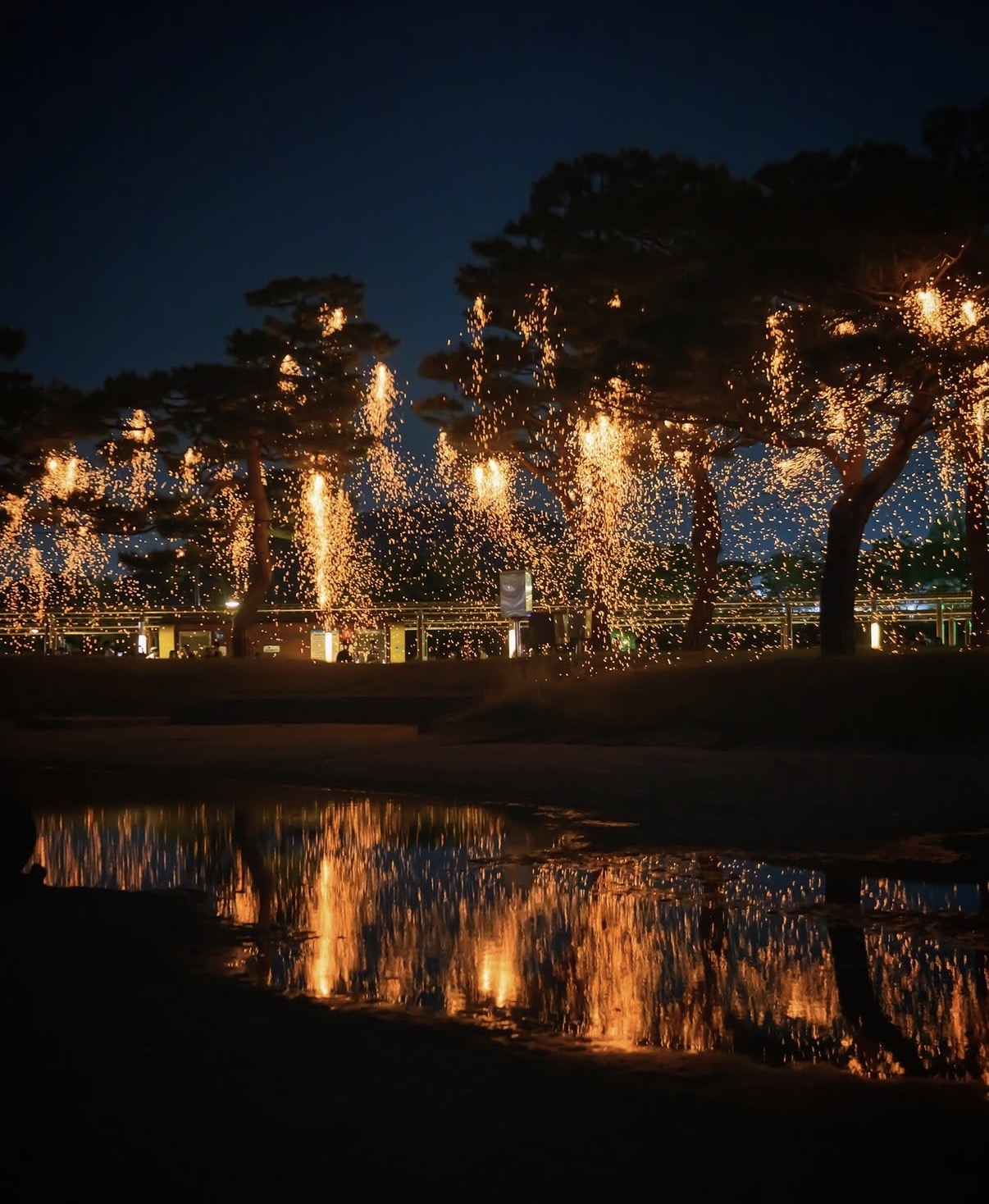 (Sejong Nakhwa Festival)