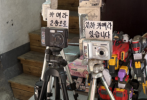 버려지던 디카, 40만원 됐다…MZ 감성이 낳은 ‘디지털 금맥’ [언박싱]