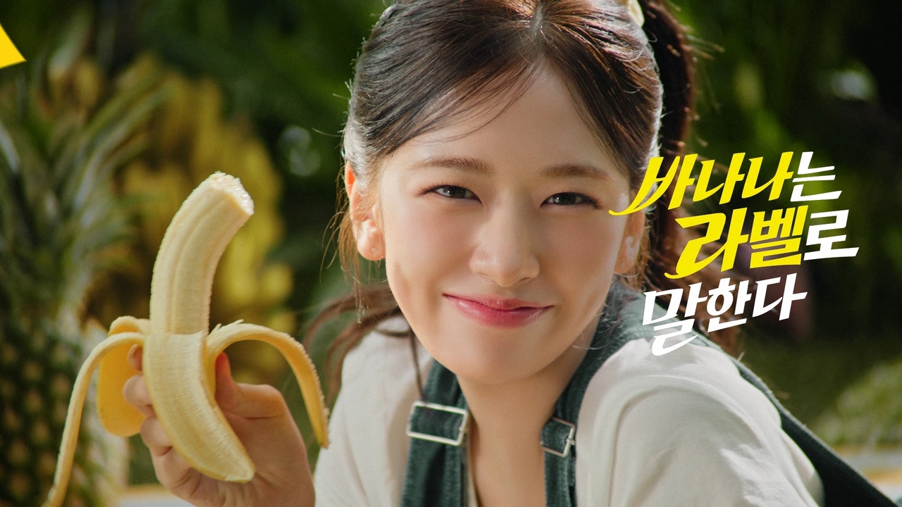 [돌코리아 제공]