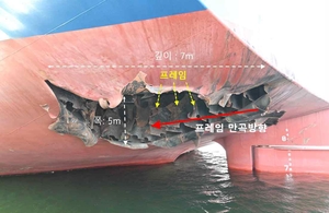 [단독]나무호 현지분석팀, 이틀간 조사마치고 벌써 귀국