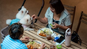[ANN] Up to 1,000 Hong Kong restaurants to welcome pet dogs from July