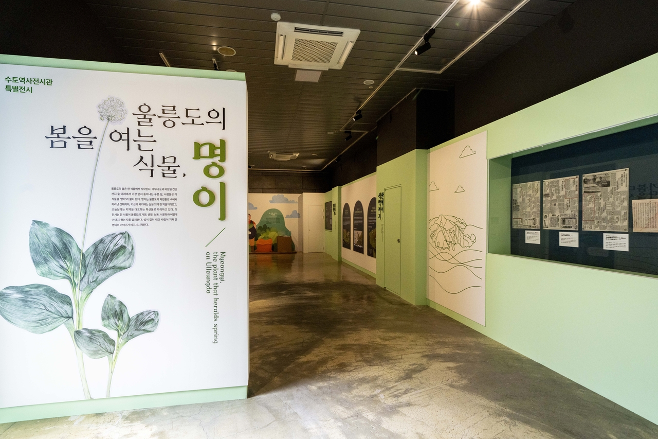 [울릉군 제공]