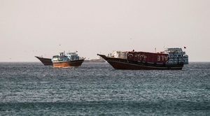 S. Korea-operated vessel passes through Strait of Hormuz: foreign ministry