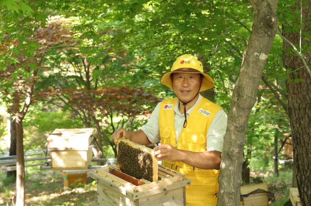 Korea’s first officially recognized native bee master, Kim Dae-rip (LG Group)