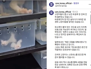 ‘온몸 꽉 끼는 박스’에 고양이 넣은 동물보호센터…“5월은 많은 시기라” 해명