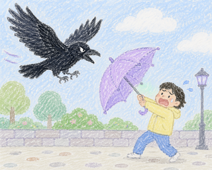 Avoid eye contact with crows, as they may remember you