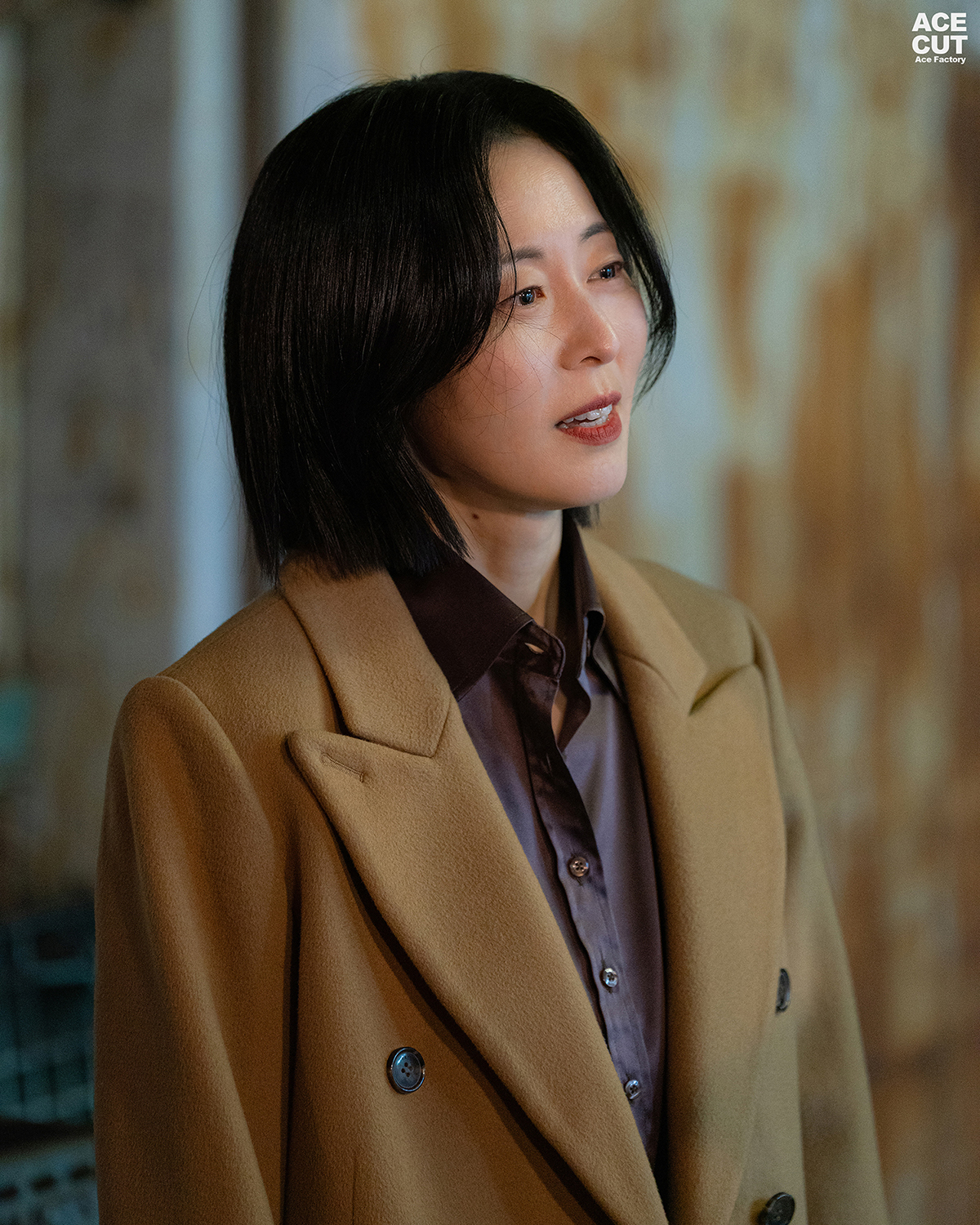 사진=스튜디오 피닉스·SLL·스튜디오 플로우 제공