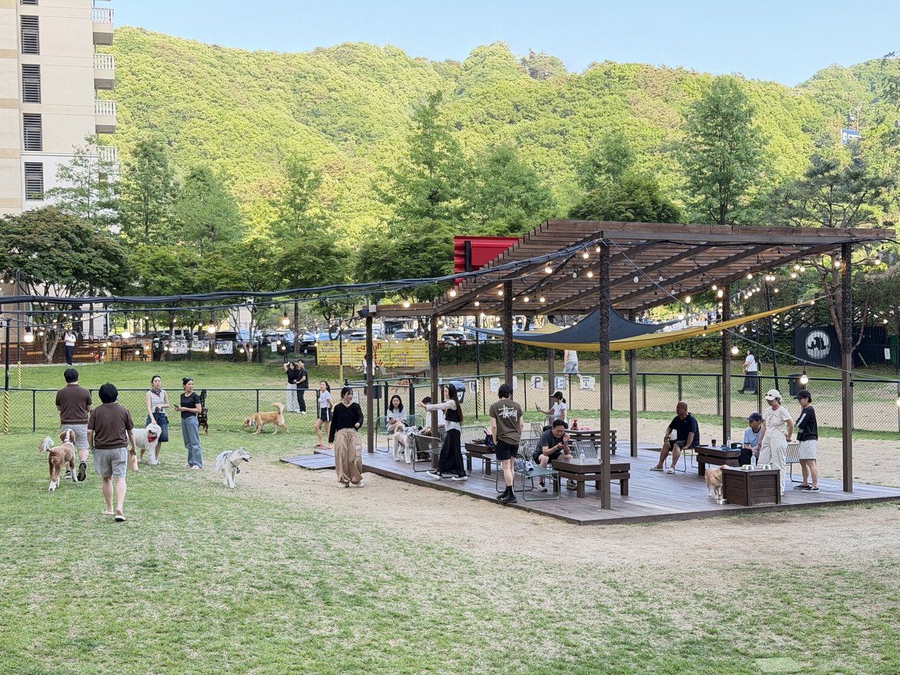 Off-leash playground for guests at Sono Pet in Hongcheon, Gangwon Province (Hong Yoo/The Korea Herald)