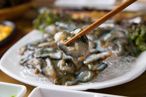 몸에서 떼어낸 조직이 3년간 살았다… 맛 좋은 해삼, 영원히 죽지 않을까[후암동 논문 연구소]