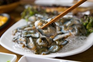 몸에서 떼어낸 조직이 3년간 살았다… 맛 좋은 해삼, 영원히 죽지 않을까[후암동 논문 연구소]