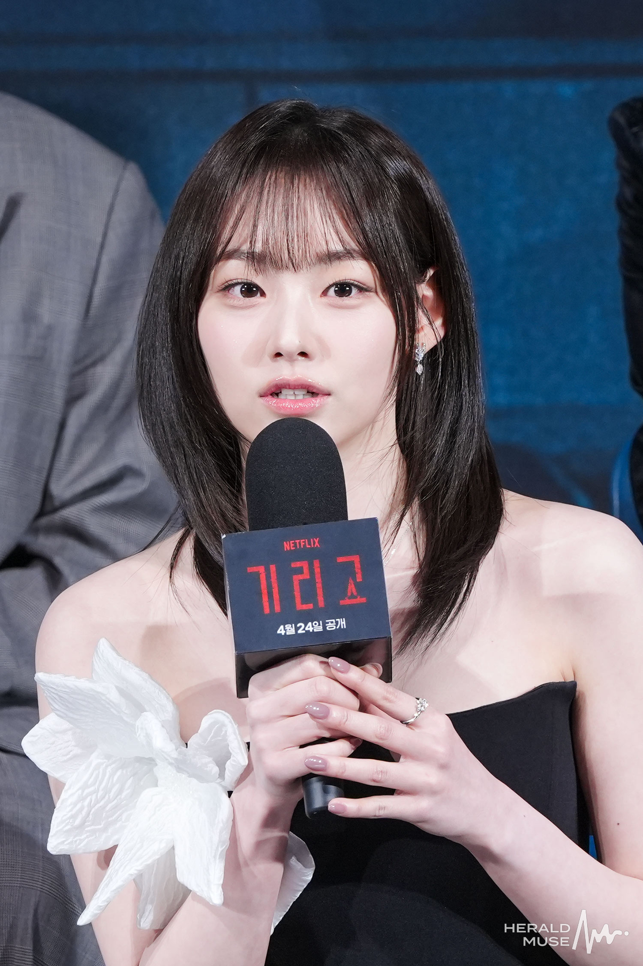 강미나/헤럴드뮤즈 DB