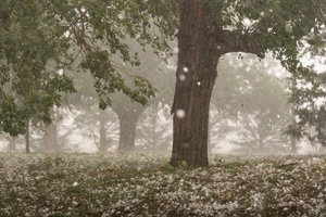 Warmer world creates bigger and more damaging hailstones, study says