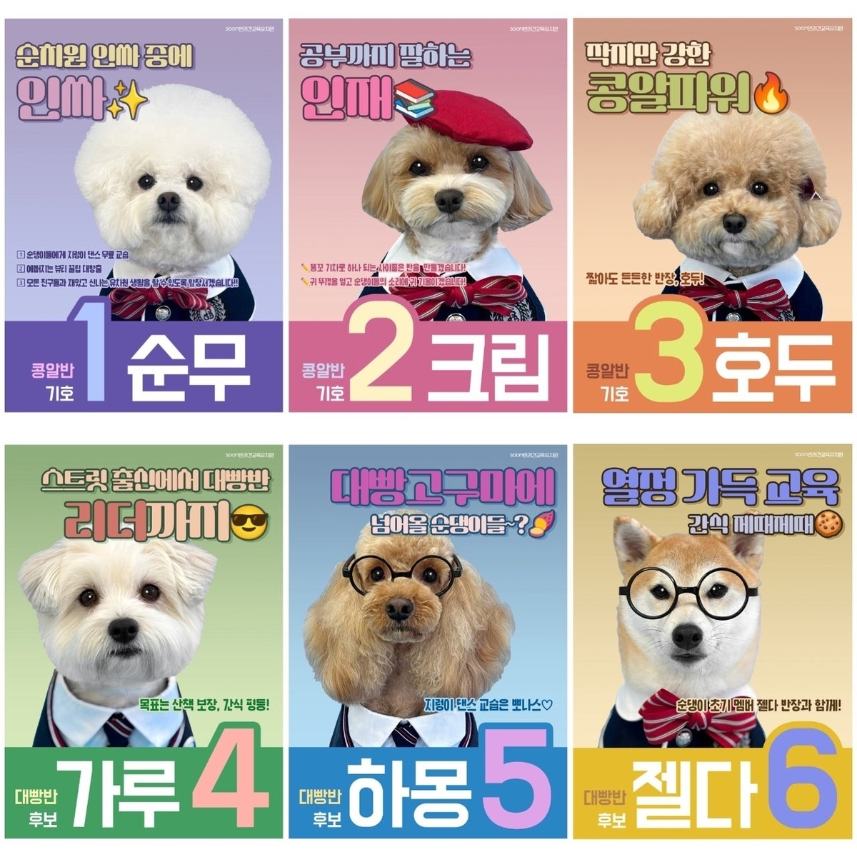 Campaign posters for a dog kindergarten class president election (Yonhap)