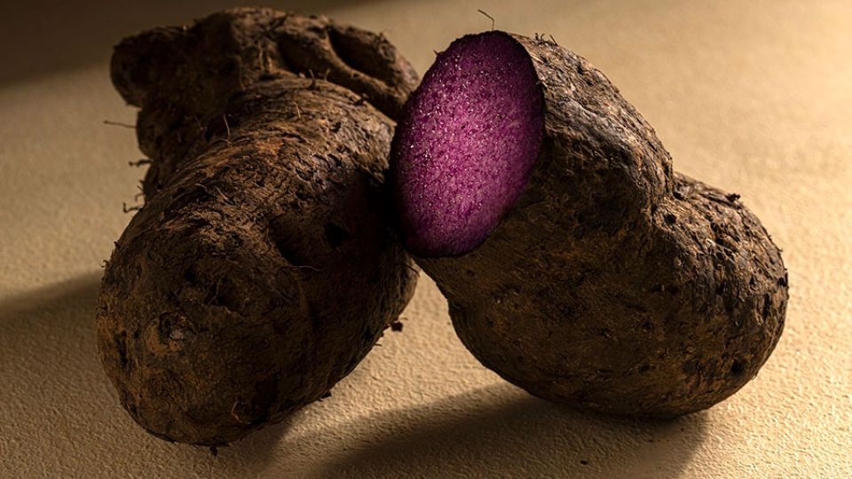 Ube is a type of yam indigenous to Southeast Asia, particularly in the Philippines, prized for its vivid purple flesh which is widely used in desserts.    (Philippine Daily Inquirer)