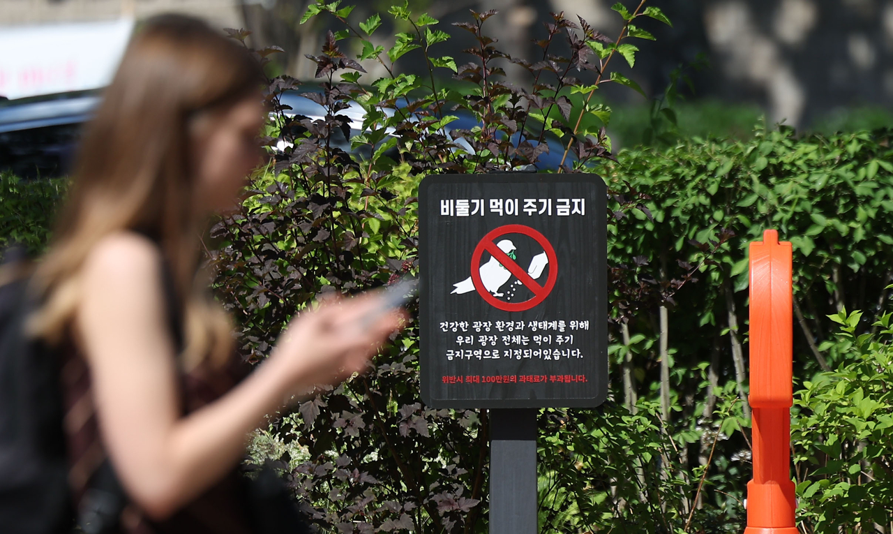 A sign banning the feeding of pigeons is seen at Seoul Plaza in Seoul on Sunday. (Newsis)