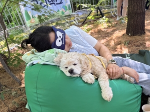 “코 골아도 반칙 아니에요”…경쟁률만 38대1, 서울숲서 열린 ‘개꿀잠 대회’ [르포]