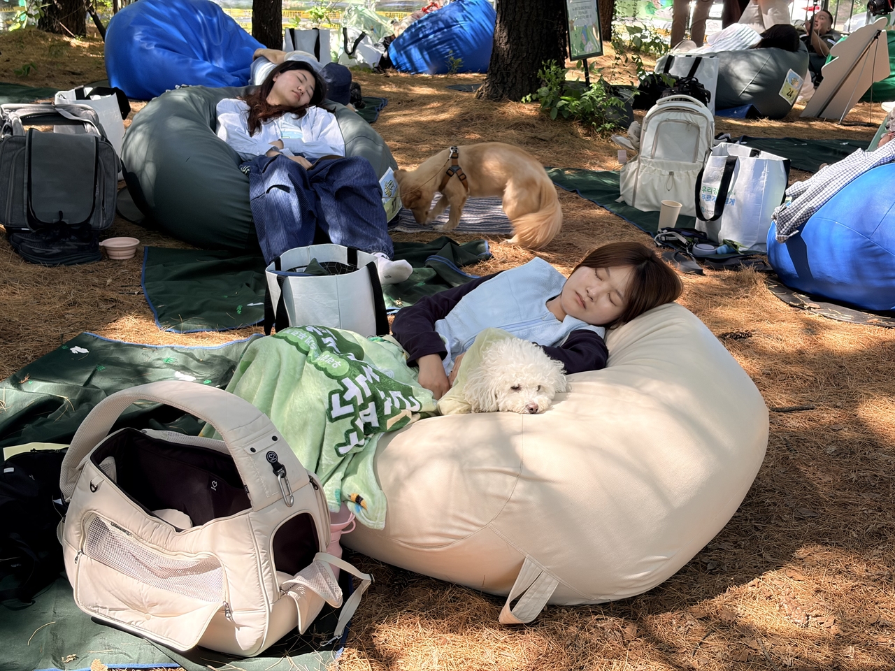 지난달 31일 서울 성동구 서울숲에서 열린 유한킴벌리 ‘숲속 개꿀잠대회’에서 참가자들이 반려견과 함께 숙면을 취하고 있는 모습. [부애리 기자]