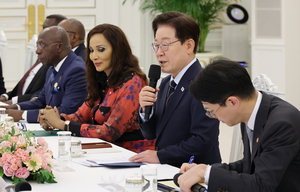 Lee says he hopes to regularize Korea-Africa summits