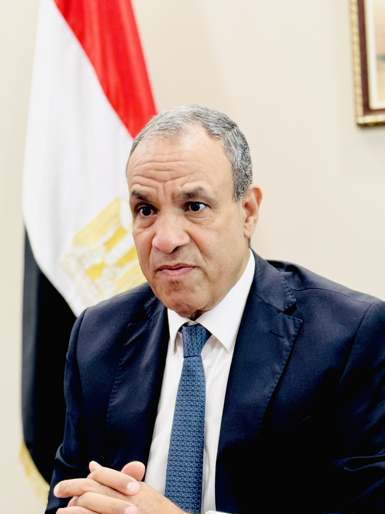 وزير الخارجية المصري يقول إن أفريقيا تحتاج إلى نقل التكنولوجيا، وليس فقط المساعدات