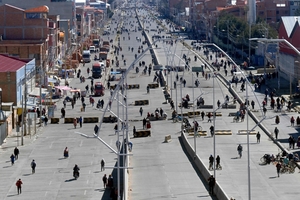 Defense minister resigns as protests rock Bolivia