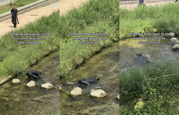 Images shared on Instagram show Kim Dong-sik, an underwater cinematographer, in Seoul’s Cheonggye Stream. (Instagram @angelicasong)