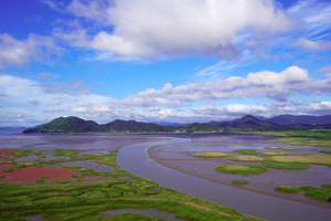 Korean tidal flats set for UNESCO World Heritage expansion listing