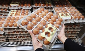 계란 한판에 8000원 육박…대형마트 “1인 1판만 팔아요” [푸드360]