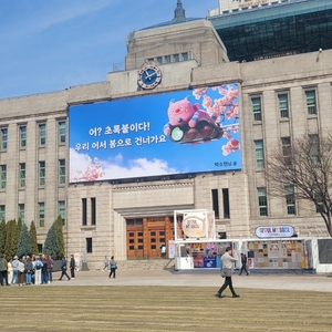 서울시 출신 서강석·전성수·김경호·류경기·유보화 6·3 지방선거서 ... - 뉴스 썸네일 이미지