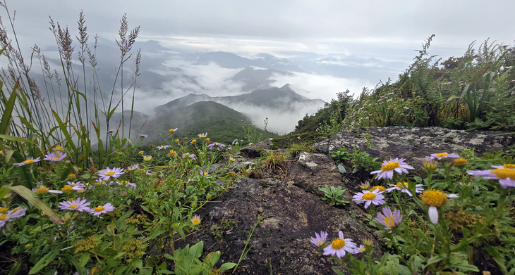 Low clouds blanket the ridges of Jirisan National Park as seen from the Nogodan area in Gurye, South Jeolla Province, on Sept. 25, 2025. (Jirisan National Park)