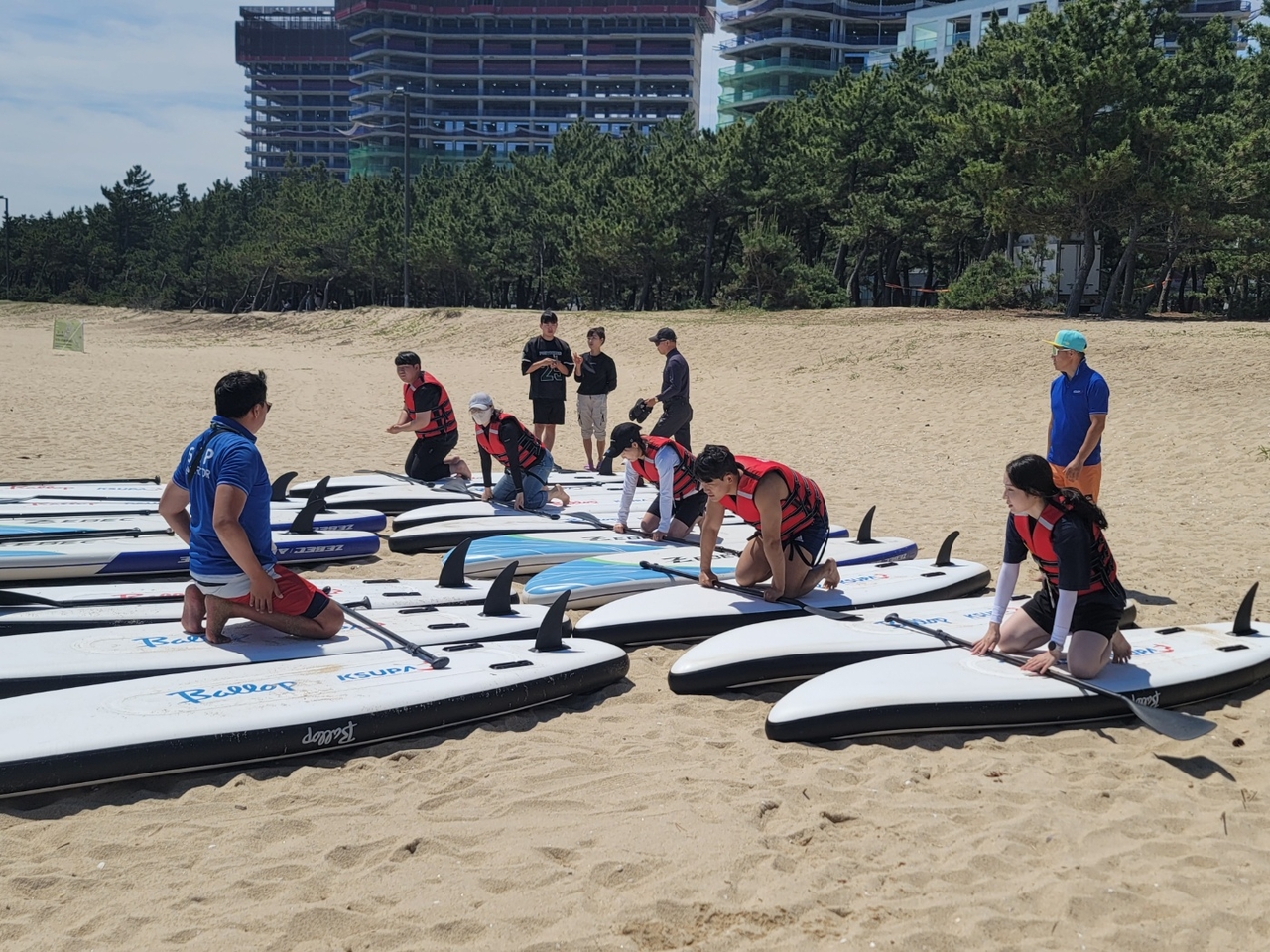 (Gangneung Marine Leisure & Pet Healing Festival)