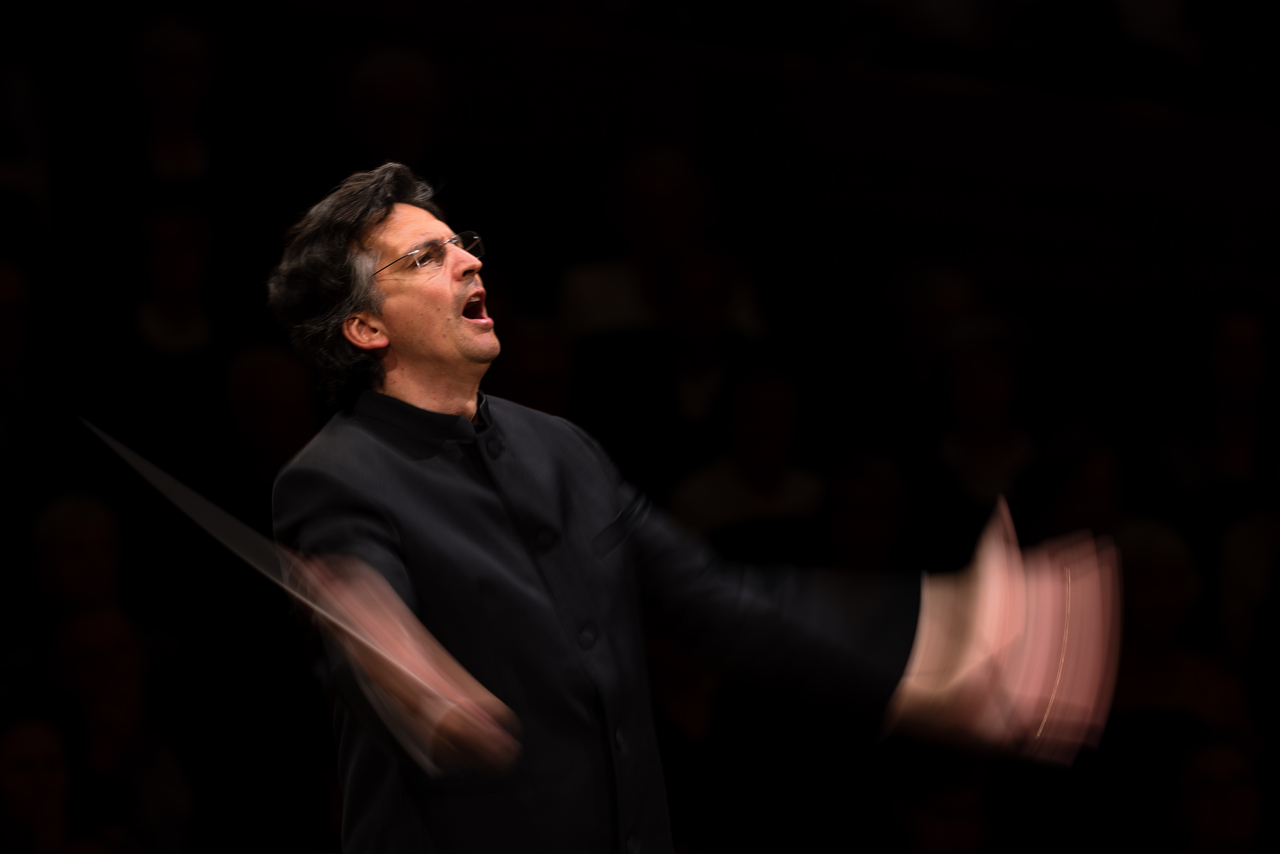Michael Sanderling  (Vincero)