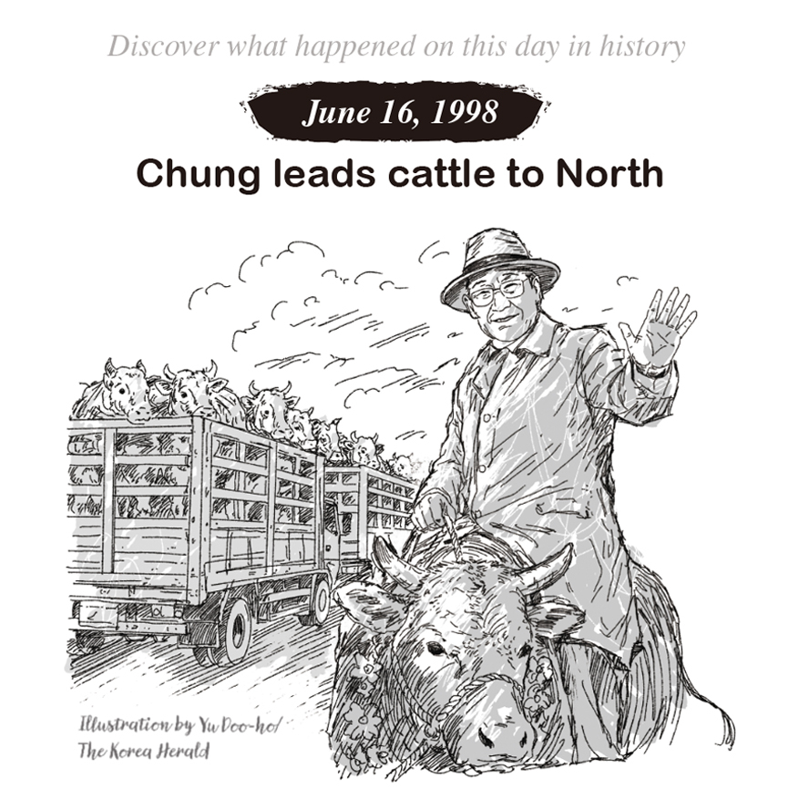 June 16, 1998: Chung leads cattle to North