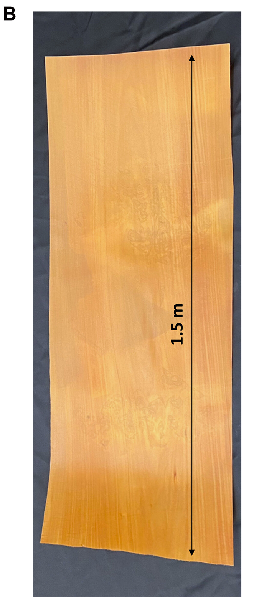 A large ODW prototype measuring 1.5 meters long and 0.4 meters wide. [Science Advances, Vol. 12, No. 24]
