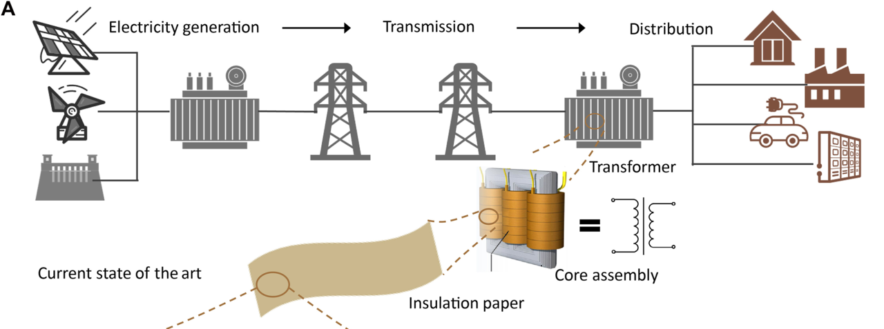 Large-scale power generated at a plant travels through transmission lines and transformers (right), where voltage is safely regulated before being distributed to industrial complexes and homes. Transformers serve as the critical junction for stepping voltage up or down. Inside, iron cores and wiring interlock in complex arrangements. The insulating paper — shown in white and brown — forms a tight barrier between the core and the wiring, preventing powerful current from leaking out or causing a short circuit. [Science Advances, Vol. 12, No. 24]