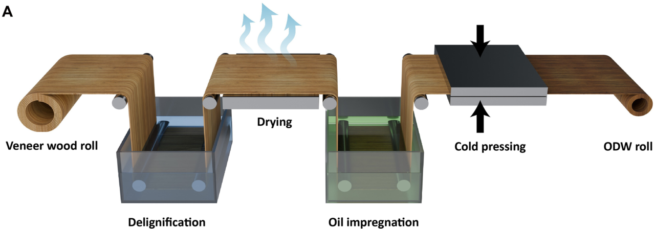 A schematic of the ODW production process for industrial application. [Science Advances, Vol. 12, No. 24]