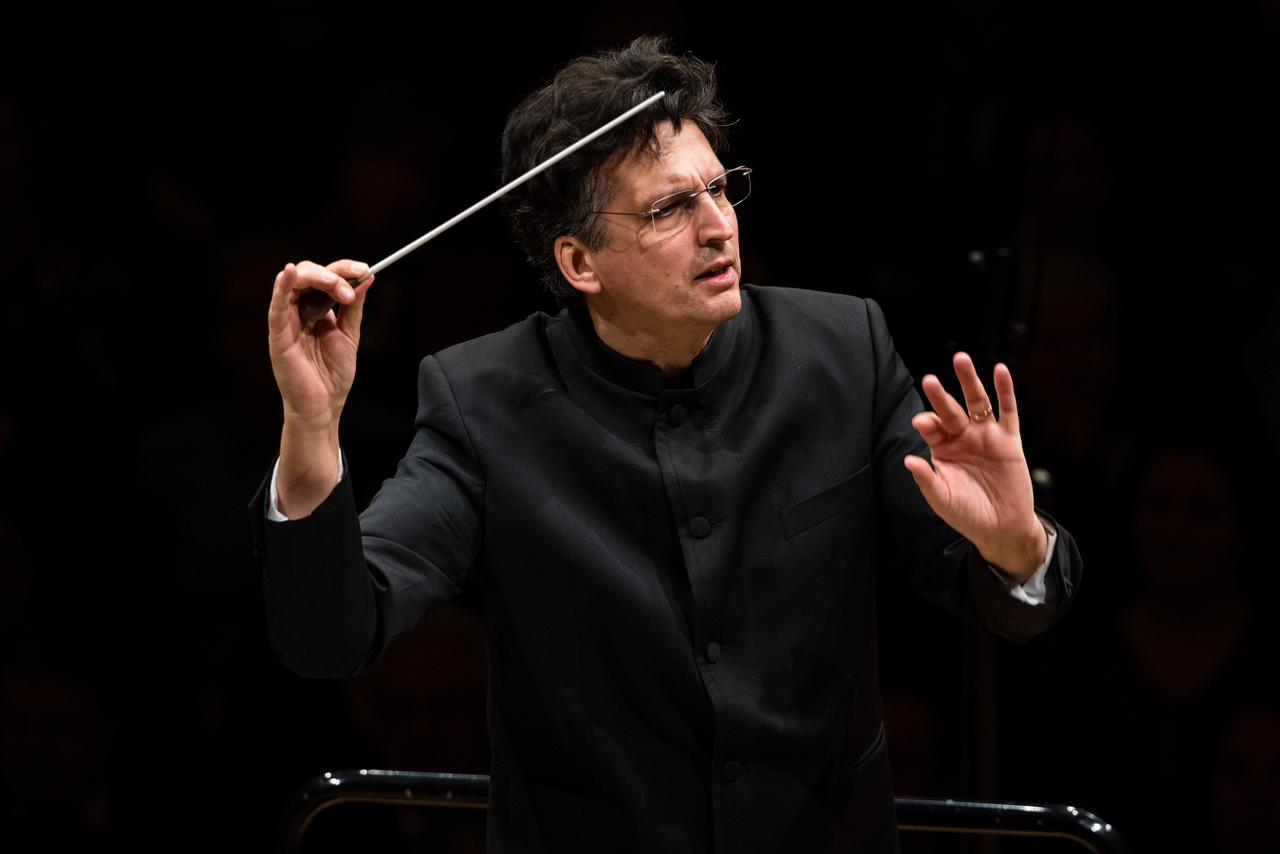 Michael Sanderling (Vincero)