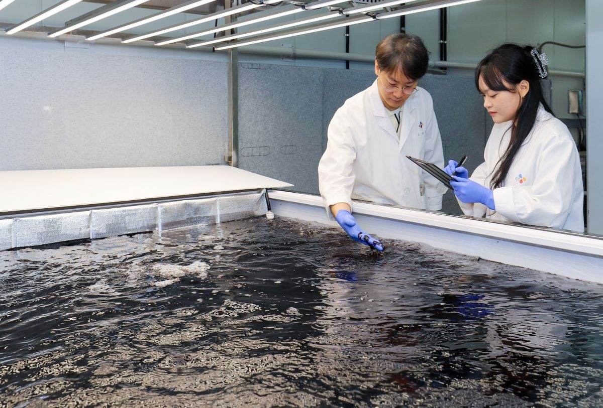 Researchers inspect land-based seaweed being grown at CJ CheilJedang's Blossom Park research center in Suwon, Gyeonggi Province. (CJ CheilJedang)