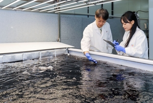 CJ CheilJedang takes seaweed farming onshore