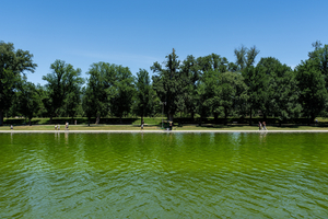 US combats pool algae with bubbles