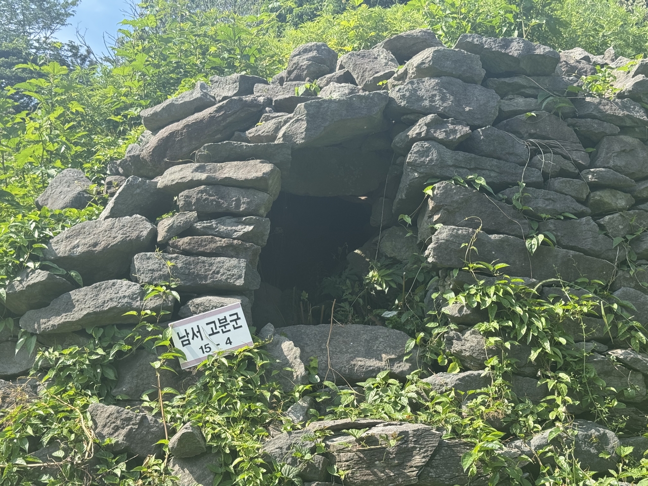 An ancient stone tomb in Ulleung-gun, North Gyeongsang Province (Lee Seung-ku/The Korea Herald)