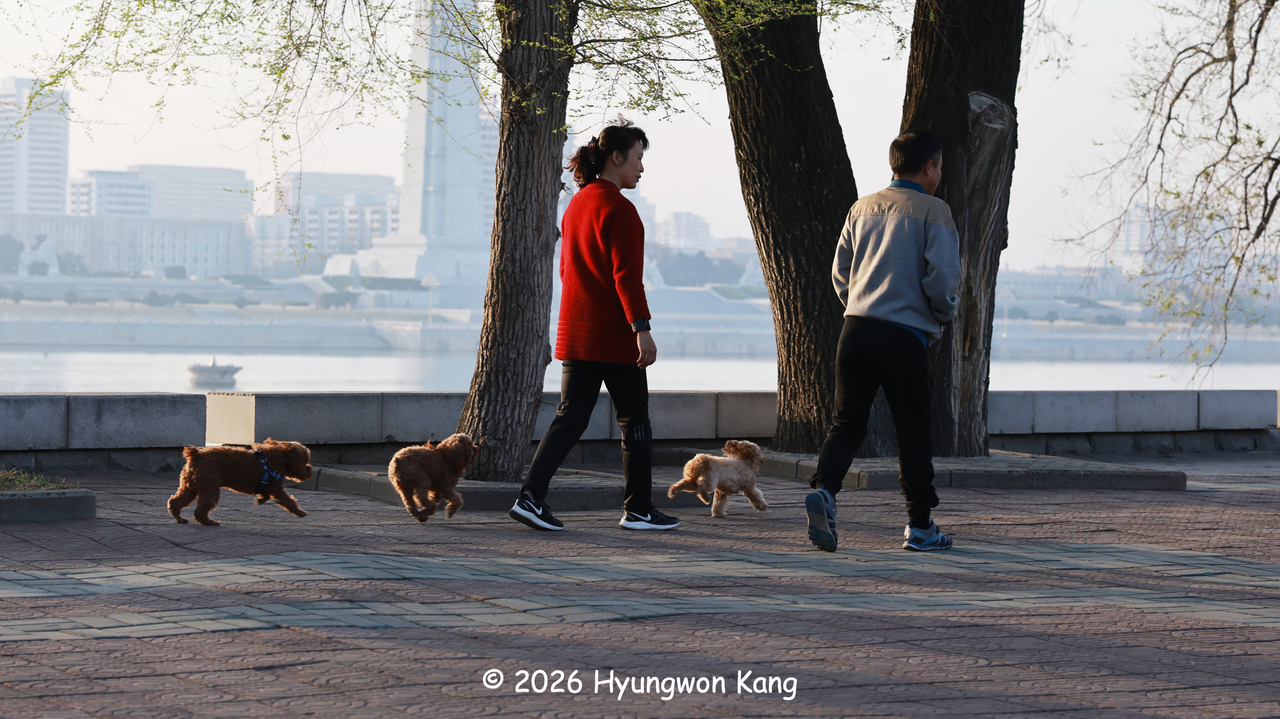 Pyongyang residents walk their pet dogs along the Taedong River in North Korea on April 13, 2026. In the past, outside observers widely believed that Pyongyang residents were not permitted to keep pets.  (Hyungwon Kang)