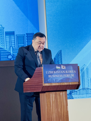 Advance Korean projects through reforms, new platforms: Uzbek deputy minister