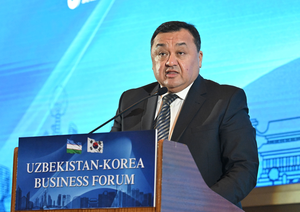 Advance Korean projects through reforms, new platforms: Uzbek deputy minister
