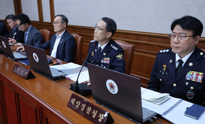 Lee warns against revenge-for-hire crimes