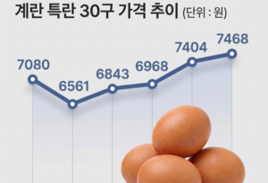 계속되는 ‘금란 시대’…어디서 싸게 살 수 있을까? [세모금]