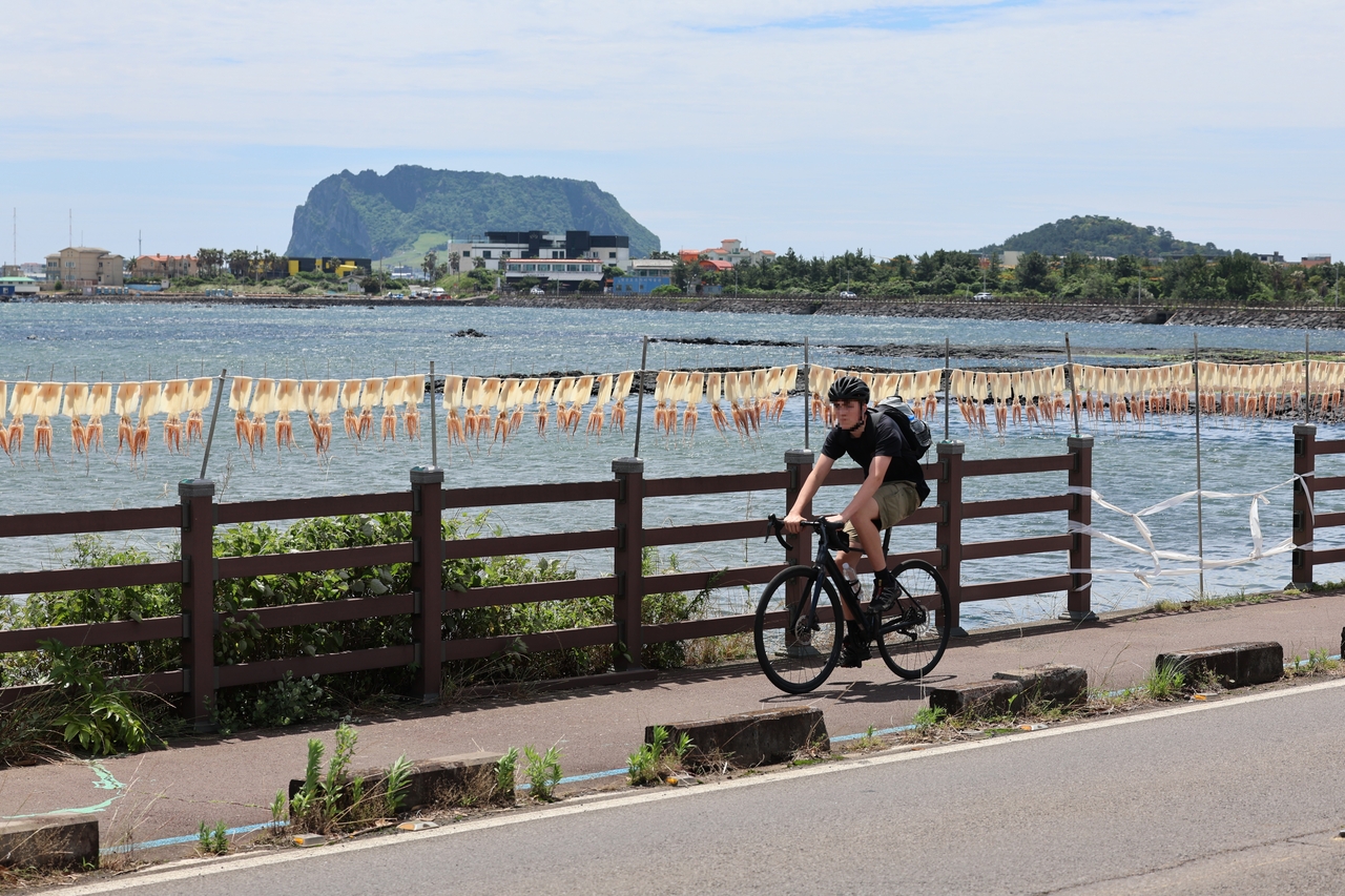 A man rides a bicycle on a seaside road on Jeju Island, June 5. (Yonhap)