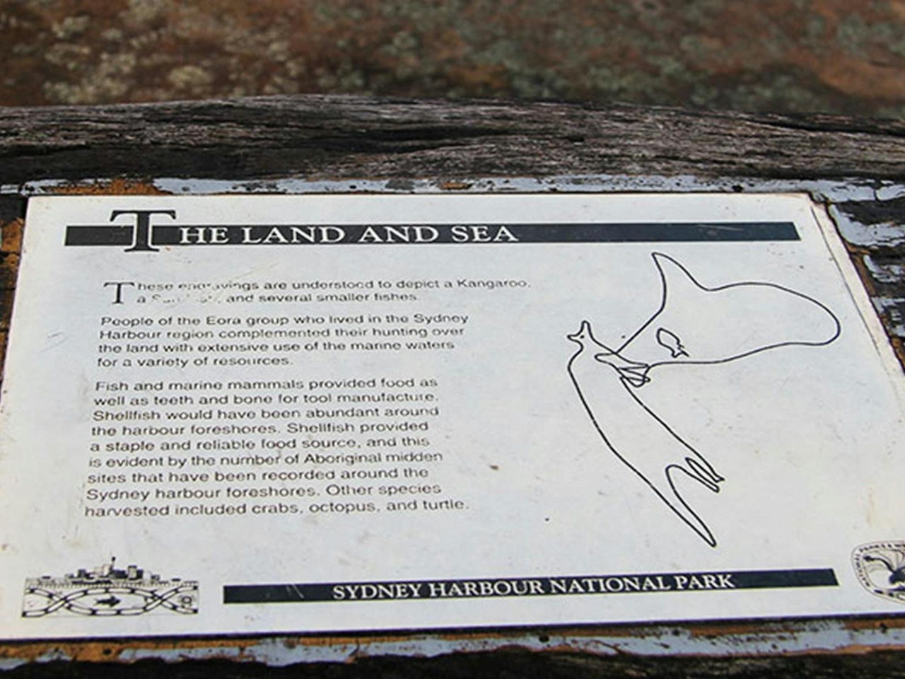 An interpretive sign for the Indigenous rock engravings at Grotto Point; the carvings are difficult to capture clearly in photographs.